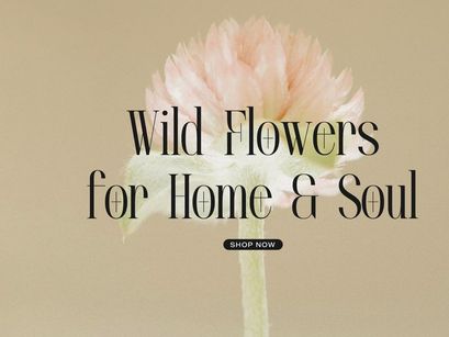 Lequano | New Display Serif