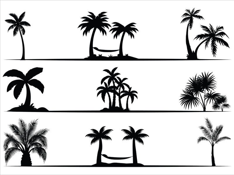 Palm Tree Collection and Silhouettes