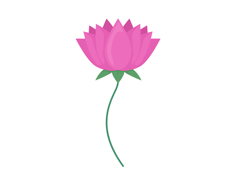 Pink blooming flower semi flat color vector object