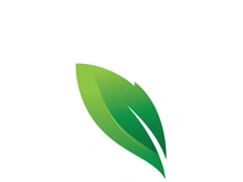 Green leaf logo design template modern leaf logo vector