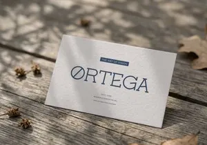 Corina Elegant | Modern Slab Serif