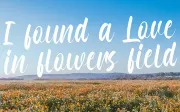 Honeymoon - Handwritten Font