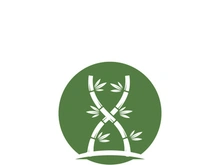 Bamboo Logo Template vector icon