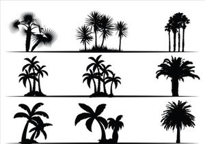 Palm Tree Collection and Silhouettes