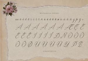 Claris Fleur | Handwritten Vintage Script
