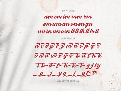 Melcostra | Handwritten Bold Script