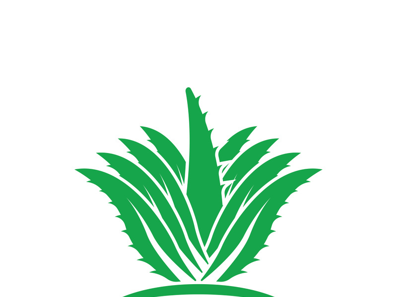 Aloe Vera logo icon design symbol beauty skin care