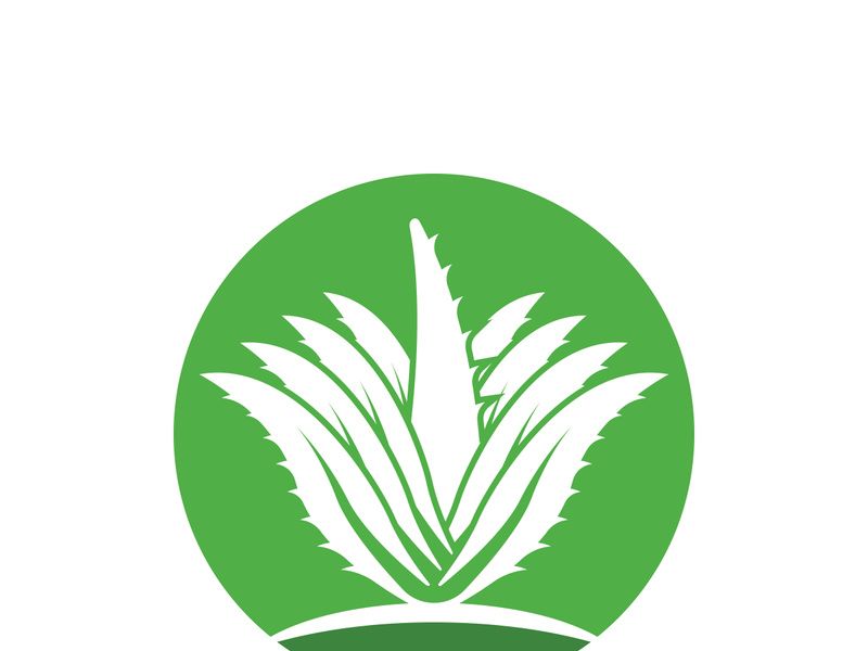 Aloe Vera logo icon design symbol beauty skin care