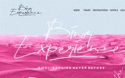 Hapsary - Ballpoint Script Font