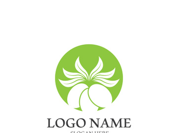 Extra virgin olive oil logo icon design vector illustration preview picture