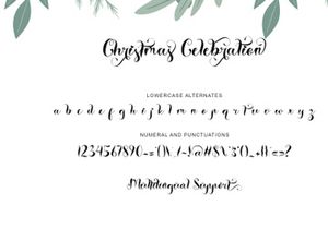 Christmas Celebration