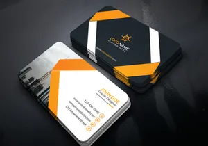 Professional Business Card Design Template