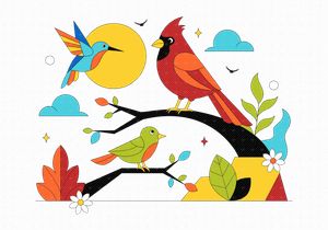 10 Colorful Tropical Bird Illustration