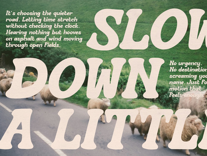 Roodey Quillen | Bold Retro Display