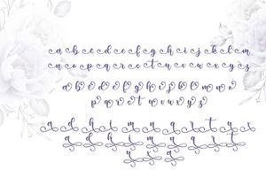 Sunday Morning Script Font by Monoco Type Foundry