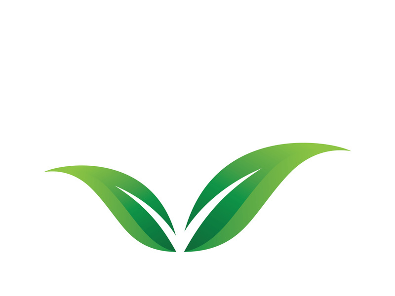 Green leaf logo design template modern leaf logo vector