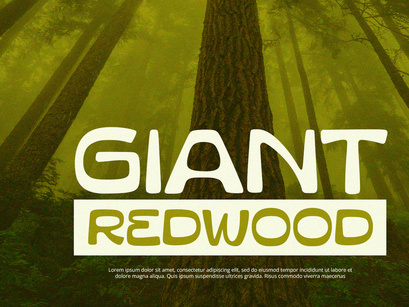 Gravis - Display Font