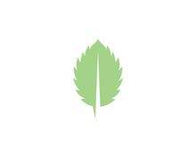 Mint Leaf icon template illustration
