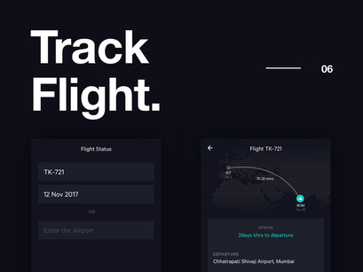 Flight App Concept