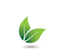 Logos of green tree leaf ecology nature element vector