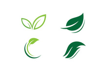 green leaf logo ecology nature vector icon