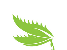 Aloe Vera logo icon design symbol beauty skin care