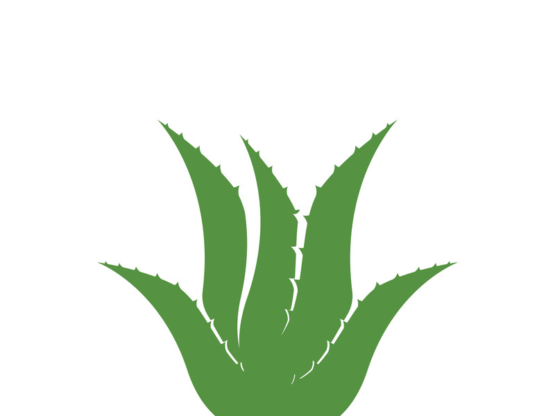 Aloe Vera logo icon design symbol beauty skin care