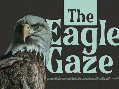 Bronze Stone - Serif Font