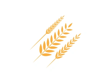 Agriculture wheat rice icon illustration preview picture