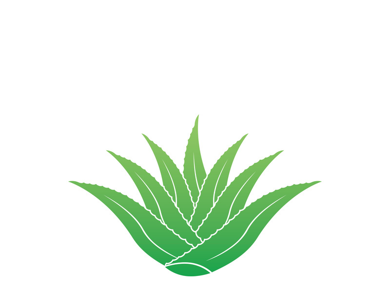 Aloe Vera logo icon design symbol beauty skin care