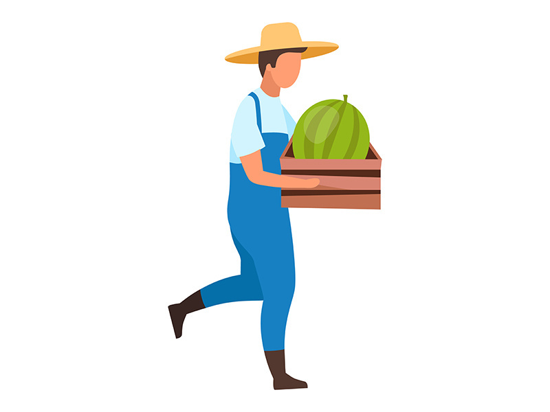 Male farmer carrying ripe watermelon in crate flat vector illustration