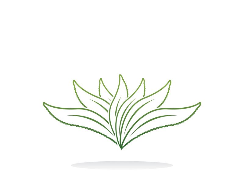Aloe Vera logo icon design symbol beauty skin care