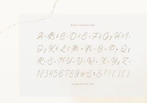 Somtiesay | Elegant Calligraphy Script
