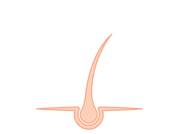 style haircut icon illustration preview picture