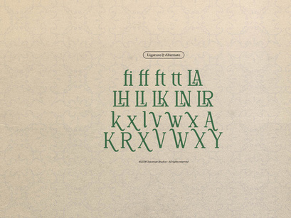 Defilao Vertes | New Vintage Serif