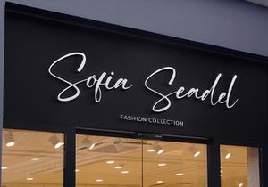 Ving Winston - Signature Font