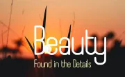 Boyanda - Modern Organic Display Font