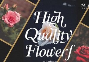 Marjourry modern serif display font