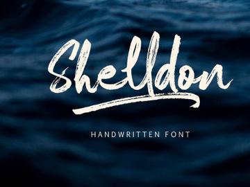 Shelldon Brush Script Font Demo (Personal Use) preview picture