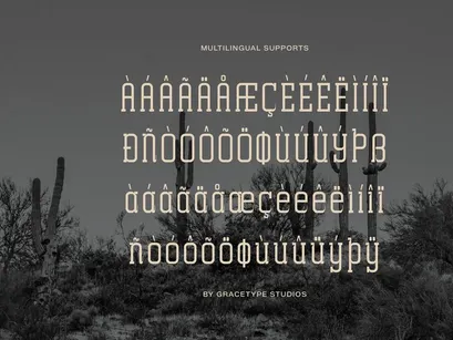 Archives Classic | Slab Serif Font