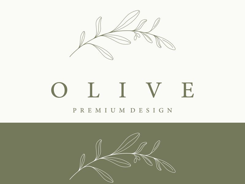 Hand drawn Botanical logo,leaf and natural olive fruit .Herbal, olive oil,cosmetic or beauty.