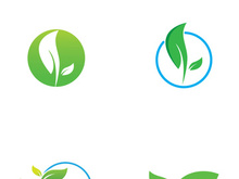 Natural green leaf logo design.