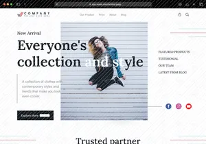 Shopify Landing Page UI