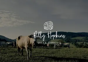 Wildy Sign Signature Font