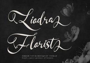 Kadegon | Beauty Calligraphy Script