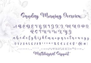 Sunday Morning Script Font by Monoco Type Foundry