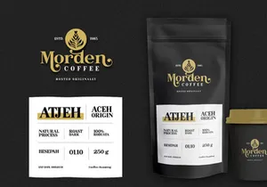 Bastine Modern Classy Serif Font