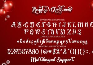 Beauty Christmas