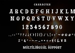 Malicious Moonlight - Display Font
