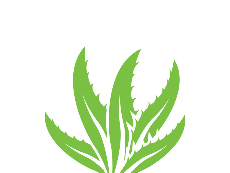 Aloe Vera logo icon design symbol beauty skin care